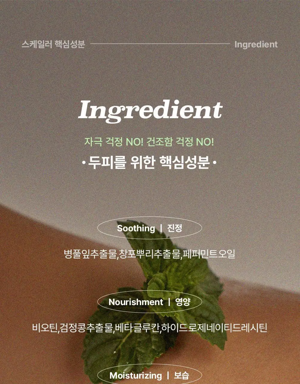 [두피치약] 민트리 탄산버블 두피 스케일러 75g (15gx5ea) 상세페이지 11